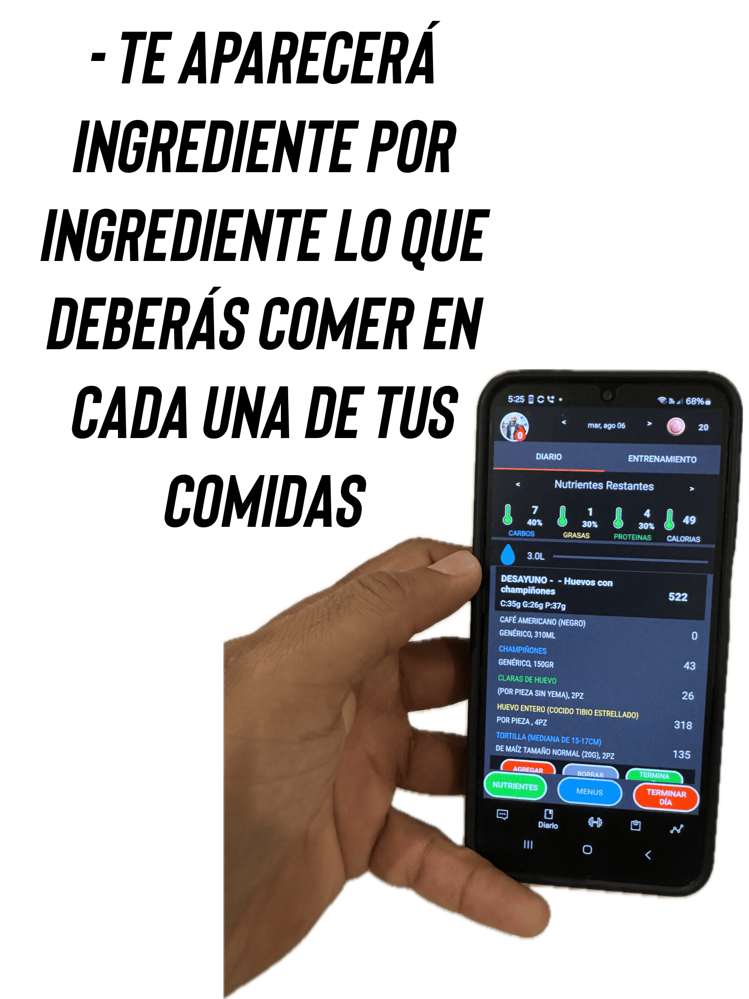 Foto 06-08-24, 8 55 35 p.m. (4) (1).png