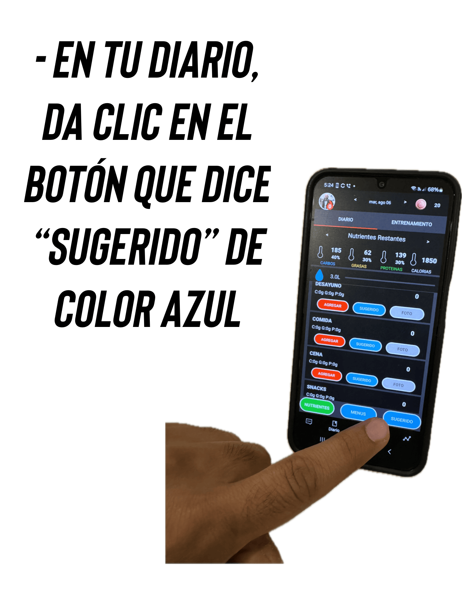 Foto 06-08-24, 8 55 35 p.m. (6).png