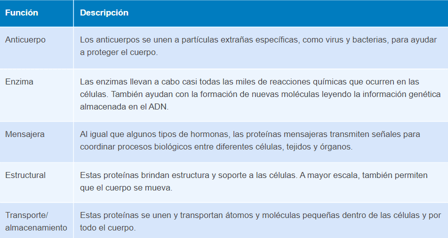 proteina estructura.png